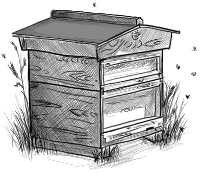Hazelwood Honey